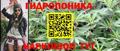 скорость Будённовск