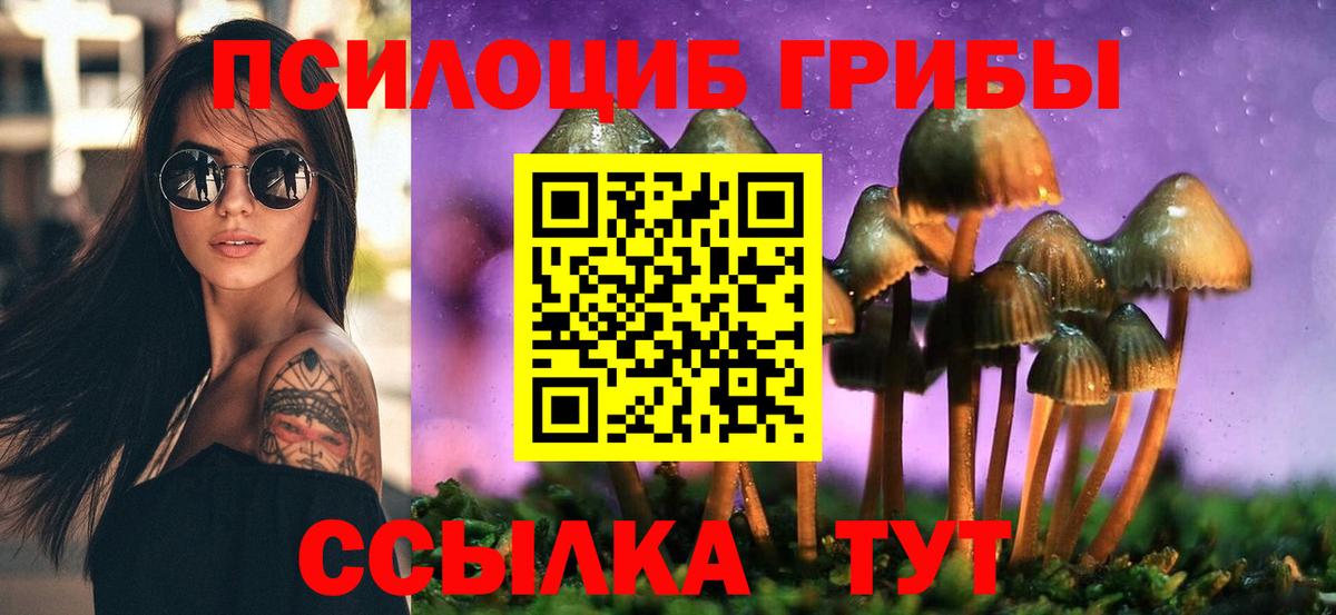 Назрань  магазин  наркотиков  Псилоцибиновые грибы MAGIC MUSHROOMS  Вход с VPN  Псилоцибиновые грибы GOLDEN TEACHER 